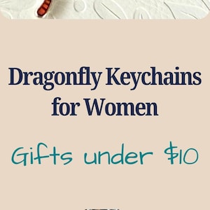 Boho Dragonfly Zipper Pull Charm Clip On Journal Accessory Enamel Keychain Fob Bag Charm Purse Dangle Gift for Nature Lover Gifts Under 10