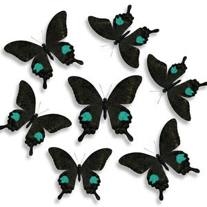 Dark Swallowtail & Butterfly Specimen | Black with Vibrant Teal Patches | Gothic Crafting | Macabre Oddities
