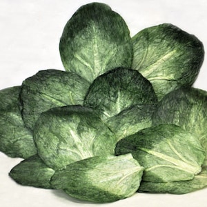 FAKE CABBAGE LEAVES, Pkg/12 pcs Handpainted Paper Leaves