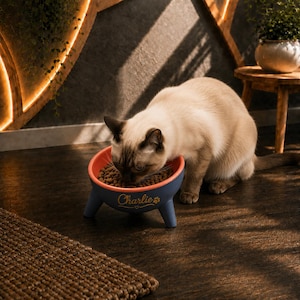 Pode incluir: Uma tigela azul para animais de estimação com borda laranja e três pernas curtas, apresentando o nome Charlie e um gráfico de pata em letras douradas. A tigela está cheia de ração seca castanha e posicionada num chão escuro.