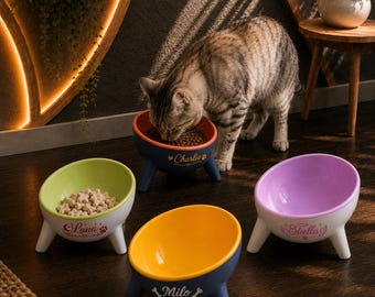 Personalized Elevated Cat Bowl, Custom Name Tilted Feeder, Anti-Spill Whisker-Friendly Pet Gift