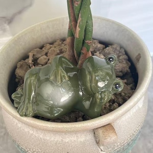 Könnte beinhalten: Eine glänzende, olivgrüne Keramikfroschfigur in liegender Pose, die auf der Erde in einem hellen, strukturierten Keramiktopf ruht. Der Frosch hat glatte, abgerundete Züge, sichtbare Augen und Schwimmhäute an den Füßen am Fuß einer Pflanze.