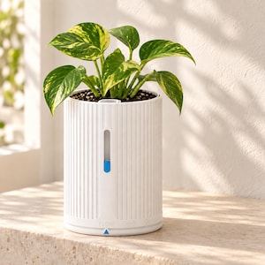 May include: A white cylindrical planter with vertical ribbed texture containing a variegated green and yellow pothos plant. The planter features a vertical water level indicator window with a blue slider and the word FLOW printed near the base.