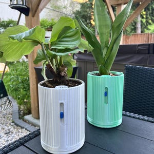以下が含まれることがあります： 垂直にリブが入った質感の円筒形植木鉢が2つあり、一方は白、もう一方はミントグリーンです。各鉢には青いスライド式インジケーターが付いた小さな縦長の溝があります。白い鉢には葉の茂った植物が、緑の鉢にはサンセベリアが植えられています。