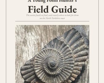 Kids Fossil Hunting Guide, Yorkshire Coast | Printable Children's Beach Activity, Redcar Saltwick Bay Fossils | instant Download PDF