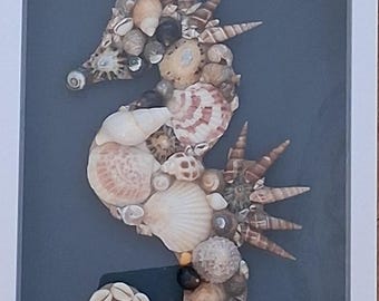 Caballito de mar con concha marina en marco de caja blanca