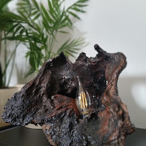 May include: A table lamp crafted from a piece of dark, textured, natural driftwood. The wood features a deep brown and black finish with a hollowed-out center that houses a single, clear, teardrop-shaped LED filament light bulb.