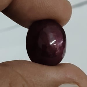 May include: A smooth, oval-shaped cabochon gemstone with a deep, dark burgundy-red color. The surface of the stone is polished and reflective, showing a small white light reflection on its rounded top. The stone is opaque and solid in appearance.
