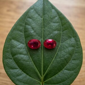 May include: Two oval-cut, vibrant red gemstones with faceted surfaces are positioned side-by-side on a large, dark green, heart-shaped leaf with visible veins, showcasing a deep crimson color and reflective clarity.