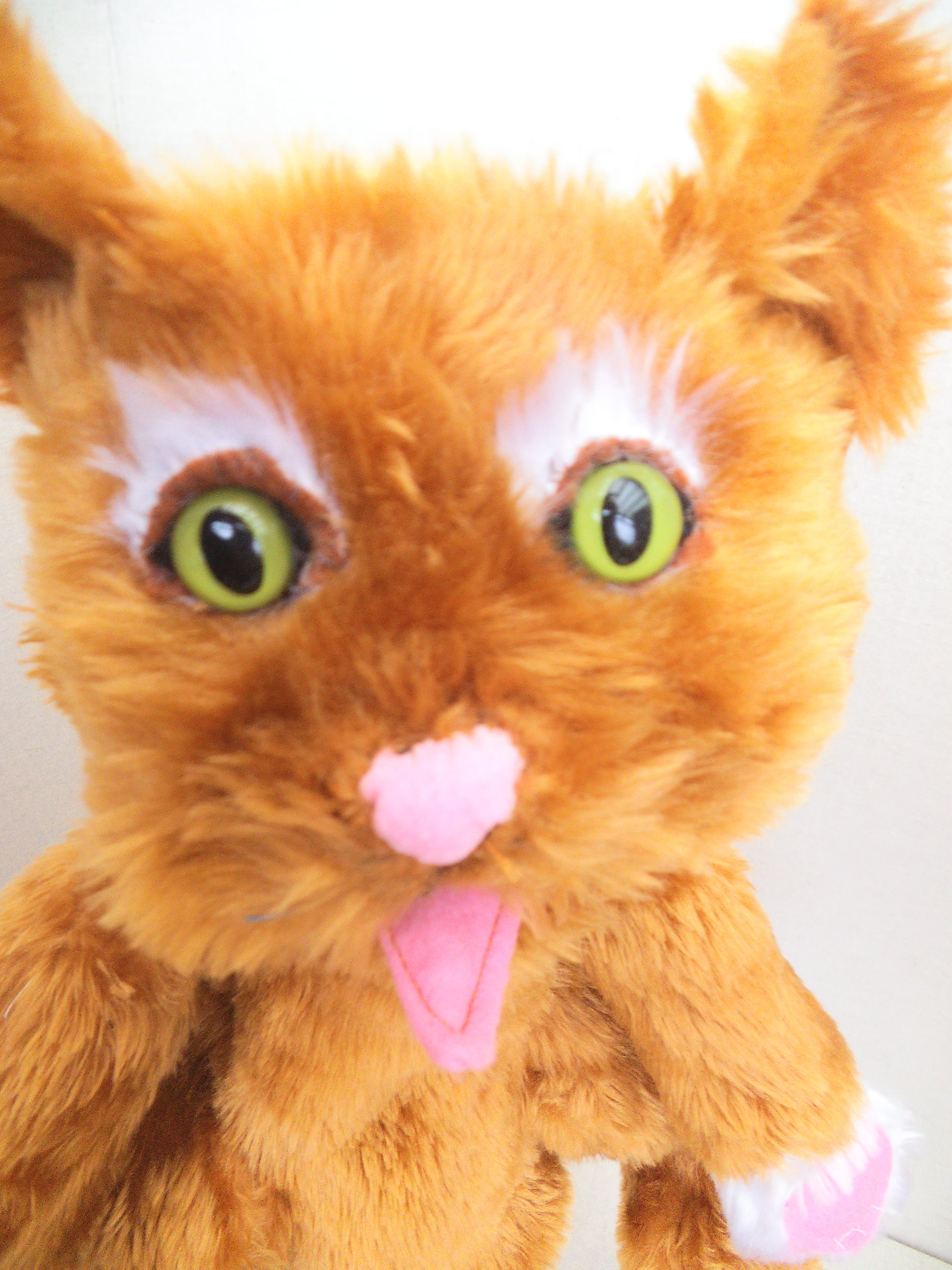 Caterina the Cat Ventriloquist Glove Puppet with Rear Legs Etsy