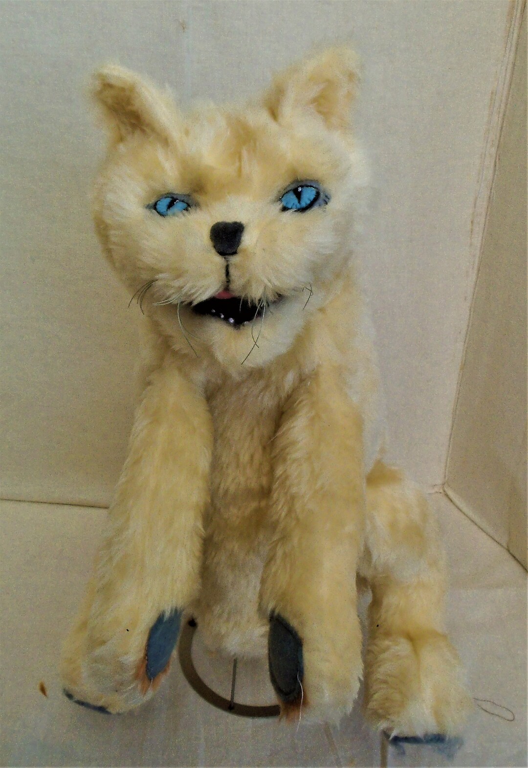 Crispie the Cat Ventriloquist Puppet Large Enough for Adult Etsy UK