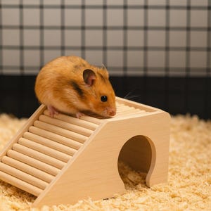 Scaletta giocattolo per criceti fatta a mano / Scala per criceti / Piattaforma per animali domestici / Gradino per criceti / Scala per piccoli animali domestici / Regalo di Natale