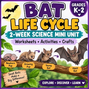 Może przedstawiać: Plakat edukacyjny zatytułowany Bat Life Cycle 2-Week Science Mini Unit dla klas K-2. Zawiera ilustracje nietoperza od noworodka do dorosłego osobnika na gałęzi, z etykietami tekstowymi i drewnianym znakiem z napisem Small Bats Make a Big Difference.
