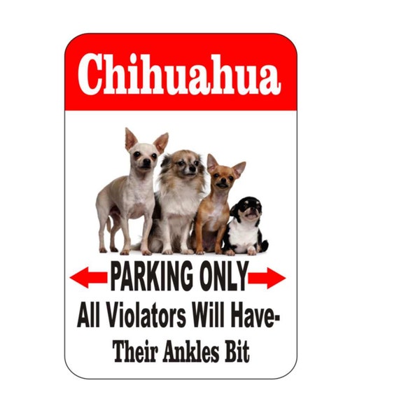 chihuahua,chihuahua dog, pet sign, funny sign, aluminum sign, metal sign, yard sign, garage sign, driveway sign, house sign, warning sign