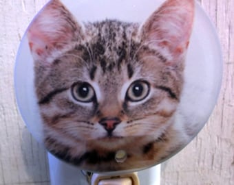 tabby kitten night light, kitten night light, cat night light, animal night light, bathroom night light, kids night light, childrens light