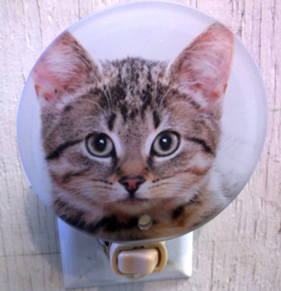 tabby kitten night light, kitten night light, cat night light, animal night light, bathroom night light, kids night light, childrens light