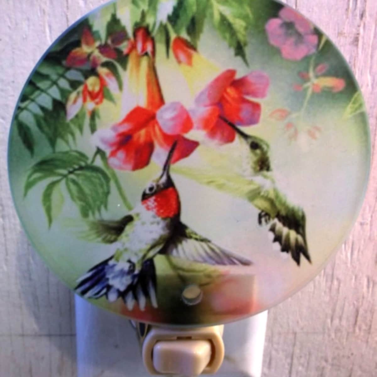 Hummingbird Night Light, Bird Night Light, Wildlife Night Light, Pretty Light, Decorative Light, Bathroom Night Light, Kitchen Night Light - Etsy