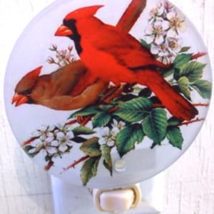 May include: A nightlight with a round glass cover featuring a red cardinal and a brown cardinal perched on a branch with white flowers. The cardinals are surrounded by green leaves.