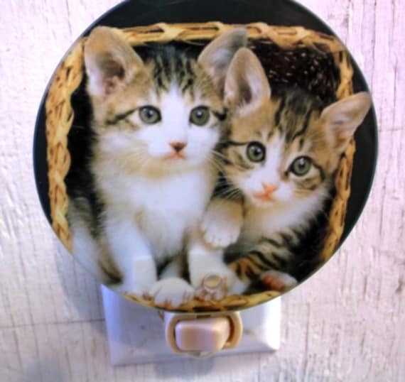 2 kittens night light, cute cat light, pretty night light, decorative light,  pretty kittens light, bathroom light, kitchen night light