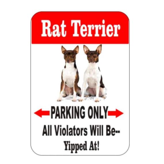 rat terrier sign, rat terrier , pet sign, funny sign, aluminum sign, metal sign, yard sign,  driveway sign, house sign, warning sign