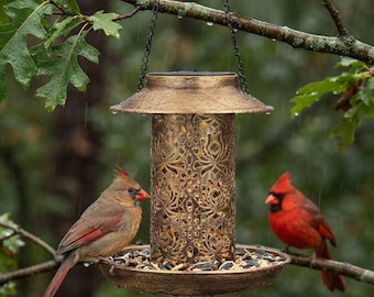 Solar Bird Feeder for Outdoors | Hanging Metal Cardinal Feeder & Solar Garden Lantern | Heavy Duty Rust-Resistant Gift