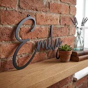 May include: A black metal wall sign featuring the name Emily in a cursive script font with a small circular mounting hole at the top. The sign is positioned against a red brick wall, resting on a light-colored wooden shelf next to a small plant.