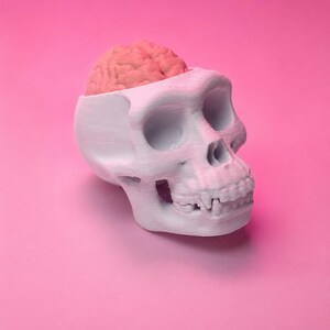 Skull Fidget Clicker, Monkey Skull Desk Toy, Stress Relief Fidget, Goth Halloween Gift