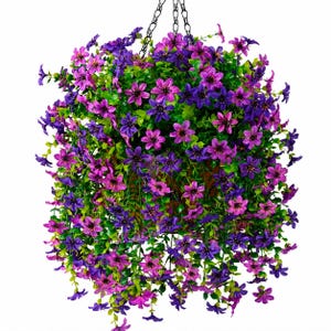 May include: A hanging basket filled with a dense arrangement of small, five-petaled flowers in shades of vibrant purple and magenta. The flowers are interspersed with lush green foliage, and the entire cluster is suspended by a black metal chain.