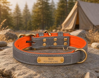 Custom Engraved Dog Collar, Personalized Pet Collar with ID Plate, Leather Collar for Dogs and Cats, Stylish Gift for Pet Lovers