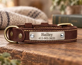 Engraved Leather Dog Collar, Personalized Name Phone Number Pet ID Collar, Antique Brass Hardware, Custom Dog Accessory