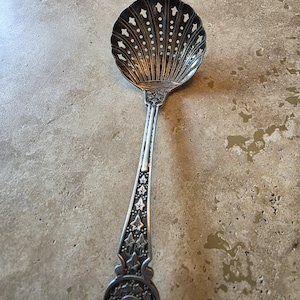 Antike Daniel & Arter Nevada Silber Zucker Sifter Löffel Efeu Blatt Muster Muschel Schüssel B'ham Victorian Geschirr Servierbesteck Tee Prop