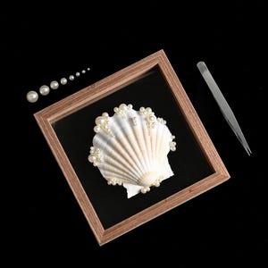 May include: A white scallop shell decorated with various sizes of white pearls, displayed inside a square wooden frame. A row of loose pearls in descending sizes and a pair of silver metal tweezers are positioned next to the framed shell.