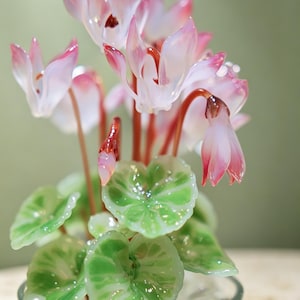 May include: A glass sculpture of a cyclamen plant featuring delicate pink and white petals with deep red centers. The plant has translucent green leaves with lighter veining and thin reddish stems, all contained within a clear glass vessel.