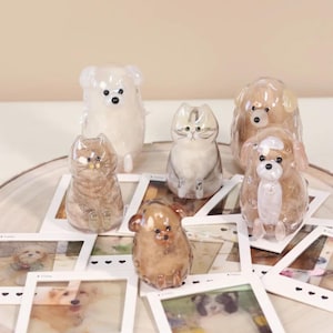 May include: A collection of six small, translucent glass animal figurines, including cats and dogs, arranged on top of several white square photo frames featuring printed images of various pets, all resting on a circular wooden base.