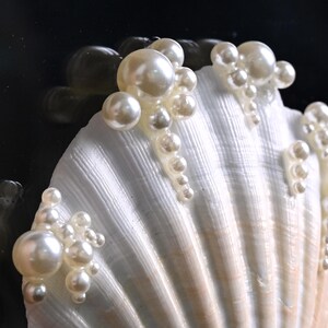 May include: A white scallop shell decorated with clusters of round, cream-coloured faux pearls of varying sizes. The pearls are arranged in vertical, cascading patterns along the ridges of the shell, creating a textured, dimensional surface.