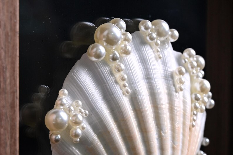 May include: A white scallop shell decorated with clusters of round, cream-coloured faux pearls of varying sizes. The pearls are arranged in vertical, cascading patterns along the ridges of the shell, creating a textured, dimensional surface.