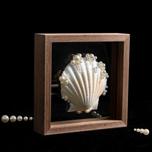 May include: A white scallop shell decorated with various sizes of white pearls, encased within a square wooden shadow box frame. The shell is positioned centrally behind the glass, with additional loose pearls scattered near the base of the frame.