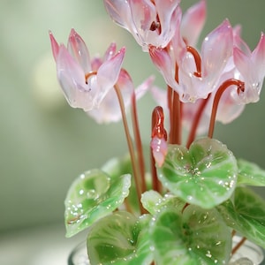 May include: A glass sculpture of a cyclamen plant featuring delicate, translucent pink and white petals on slender reddish-brown stems. The plant has heart-shaped green leaves with lighter variegated patterns, all set within a clear glass container.