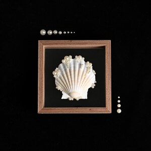 May include: A square wooden frame containing a single white and tan scallop shell adorned with small white pearls. The shell is centred on a black background within the frame. Additional loose white pearls are arranged in lines outside the frame.