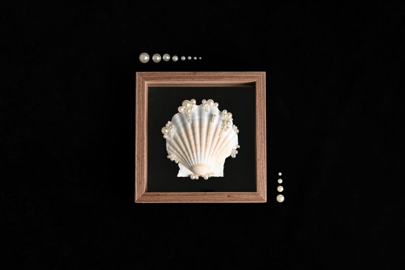 May include: A square wooden frame containing a single white and tan scallop shell adorned with small white pearls. The shell is centred on a black background within the frame. Additional loose white pearls are arranged in lines outside the frame.