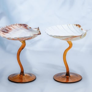 Puede incluir: Dos pedestales decorativos con conchas de vieira naturales como cuencos, cada uno sostenido por un tallo de vidrio ámbar delgado y curvado sobre una base circular de vidrio ámbar. Las conchas muestran patrones moteados de color blanco y marrón.