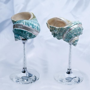 May include: Two decorative goblets featuring natural sea shells as bowls, each mounted on a clear, slender glass stem with a circular base. The shells display a vibrant teal and white marbled pattern with a smooth, pearlescent interior finish.