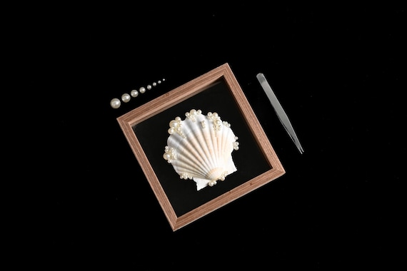 Handmade Seashell Wall Art, Wooden Frame with Pearl Accents, Coastal Ocean Art Accent, Elegant Home Decor
