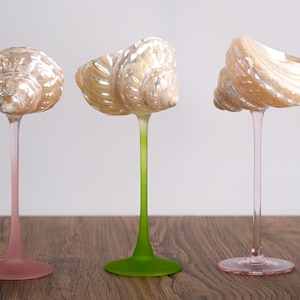 Handmade Conch Shell Wine Glass, Natural Seashell Goblet, Colorful Stem, Beach Wedding Gift