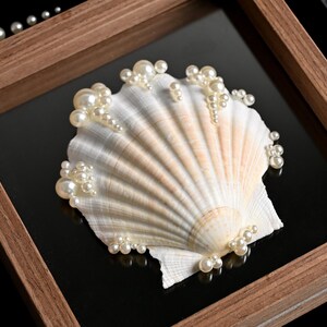 May include: A white scallop shell decorated with clusters of small, round, cream-coloured pearls, mounted inside a square wooden frame. The shell features natural ridges and a smooth texture, with pearls arranged along the edges and surface.