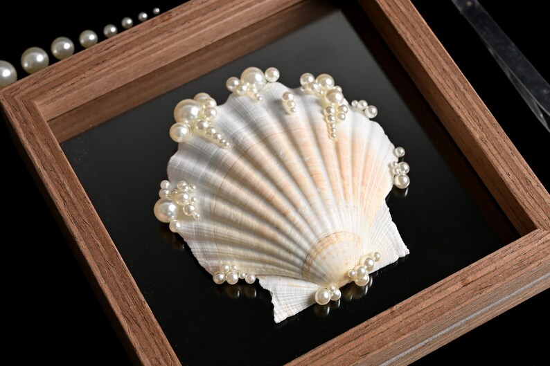 May include: A white scallop shell decorated with clusters of small, round, cream-coloured pearls, mounted inside a square wooden frame. The shell features natural ridges and a smooth texture, with pearls arranged along the edges and surface.