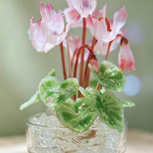 May include: A glass sculpture of a cyclamen plant featuring delicate pink and white petals with deep red stems. The plant has glossy green leaves and is set in a clear glass bowl filled with small, translucent glass pebbles at the base.