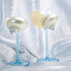 Puede incluir: Dos objetos decorativos que consisten en conchas marinas de color crema iridiscente montadas sobre tallos de vidrio azul claro transparente y esbelto con bases circulares. Las conchas presentan un acabado liso y nacarado con espirales visibles.