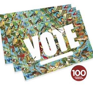 Mary Likes Postcards State Birds: set di 100 cartoline elettorali, perfette come cartoline agli elettori e altre campagne per invogliare gli elettori a votare.