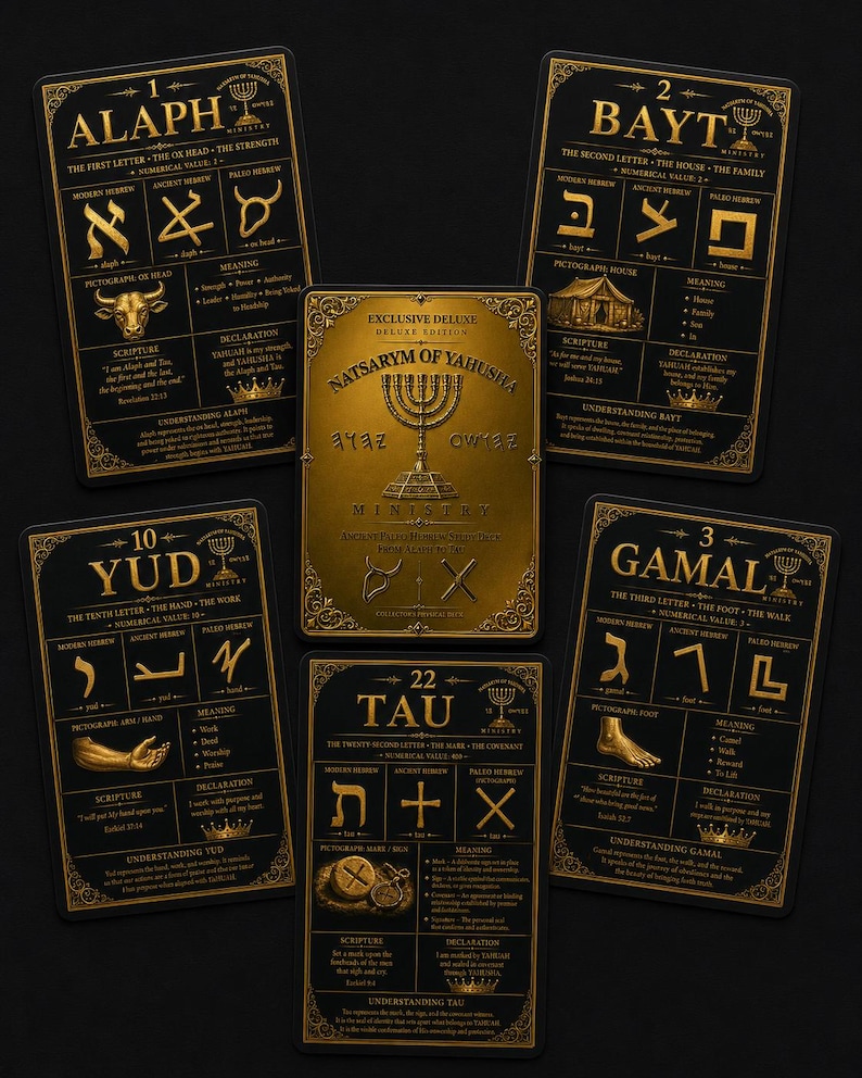 Deluxe Ancient Paleo-Hebrew Flash Cards, 22 Study Deck, Collector Box (Physical) image 6